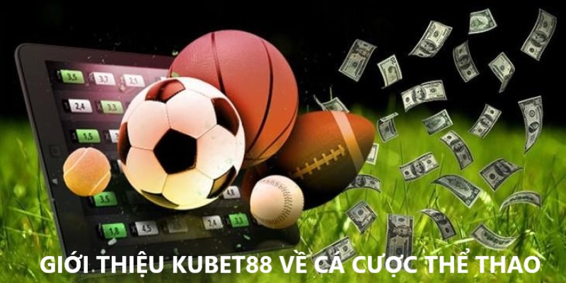 Giới thiệu Kubet88 về chuyên mục cá cược thể thao 